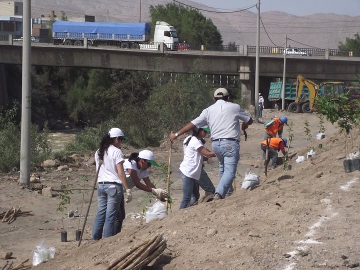 Forestación Laderas del Rio Chilli 2011 Patrulla Ecológica